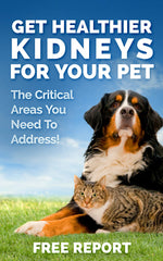 Kidney Restore cat-and-dog meal mix aids urinary health during feeding