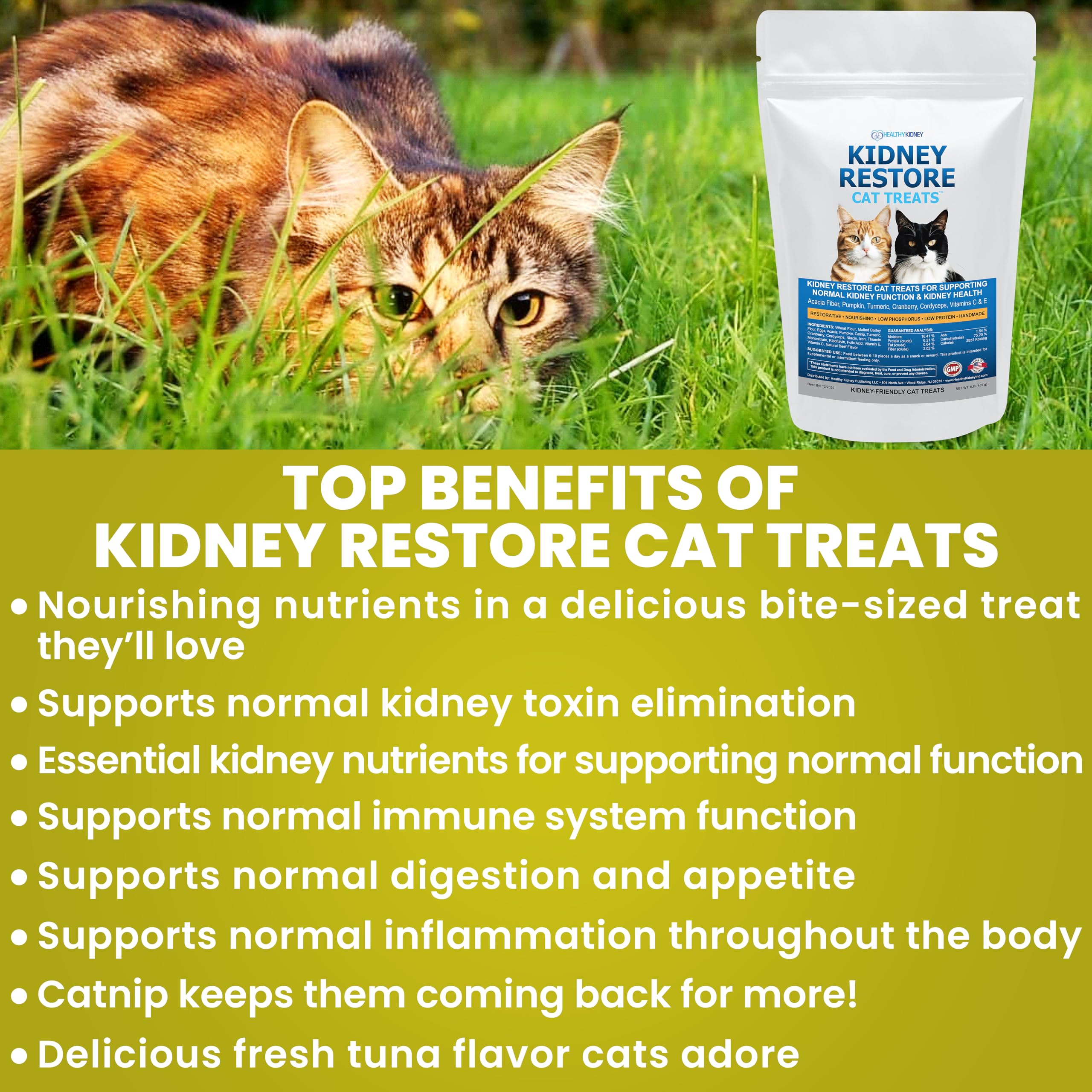 Kidney Restore Tuna cat treats served in a bowl demonstrates serving idea.