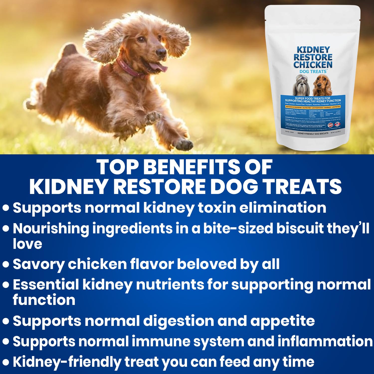 Dog and family enjoying a kidney-friendly moment with treats