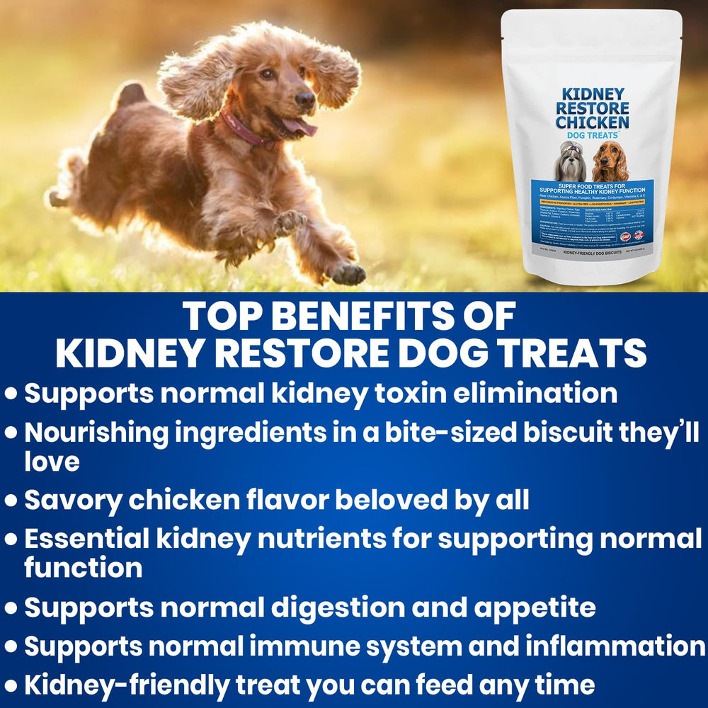 Dog and family enjoying a kidney-friendly moment with treats