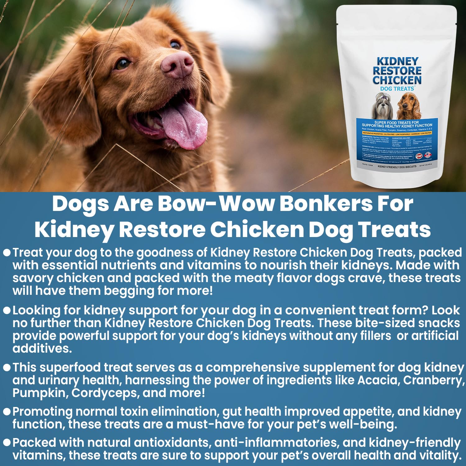 eBook download included for healthier kidneys with Kidney Restore