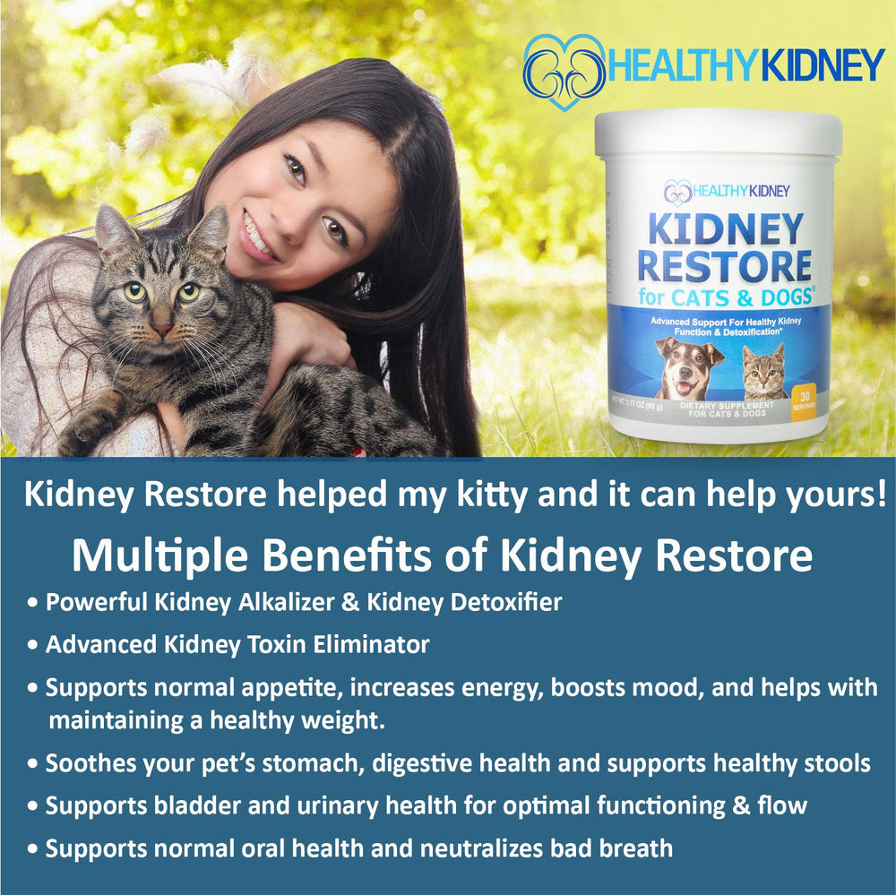 Kidney Restore niacinamide boost hints at phosphorus balance for kidney health
