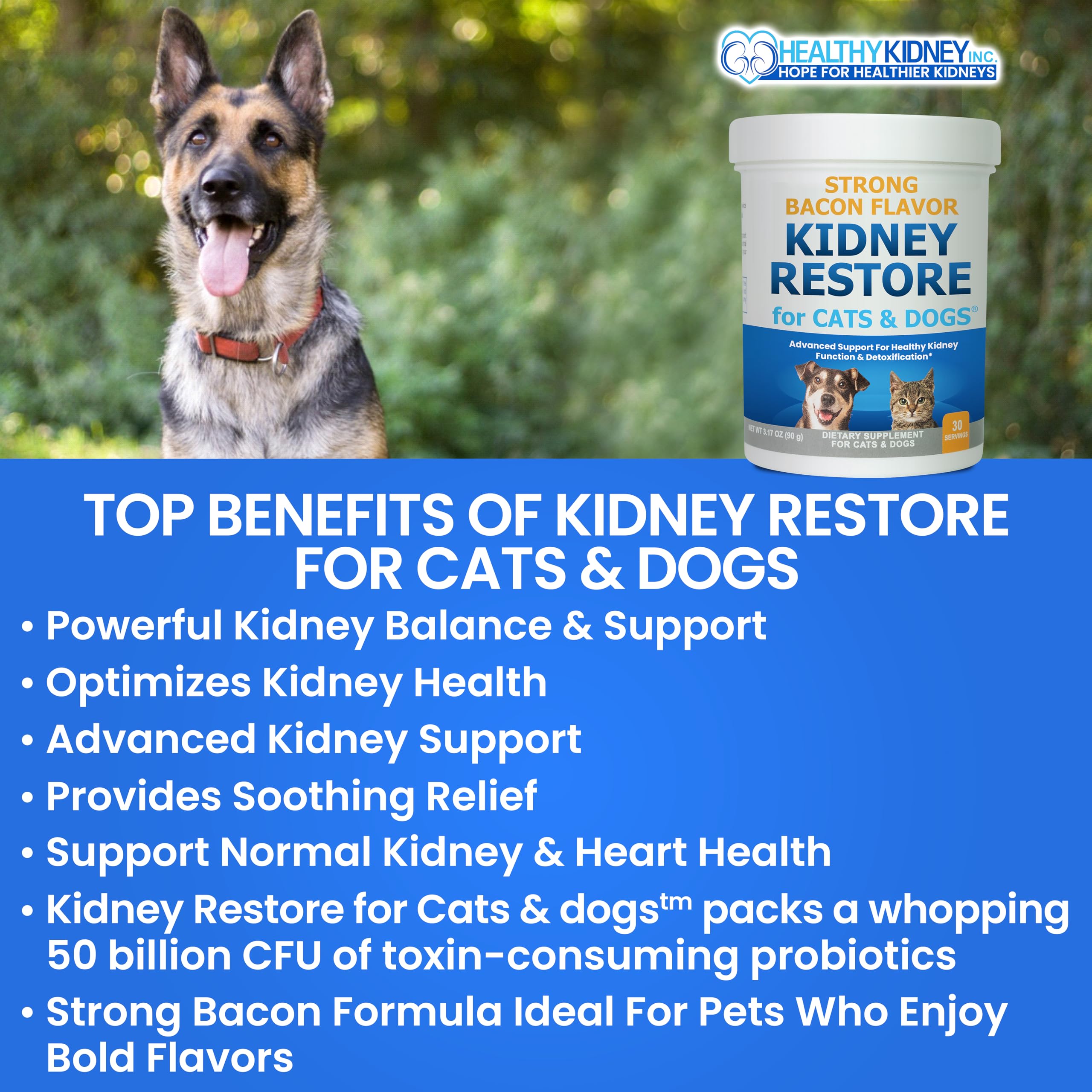 Kidney Restore pets eating kibble demonstrates easy administration