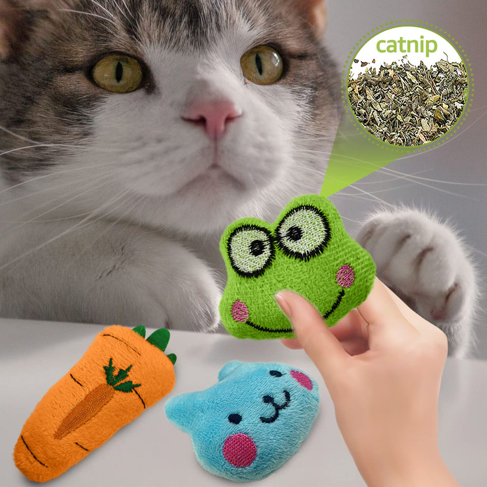 Kidpet catnip ball toy to promote movement and focus.