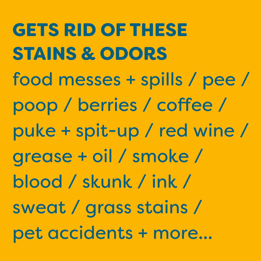 KIDS 'N' PETS stain remover used on furniture for a fresh, odor-free feel.