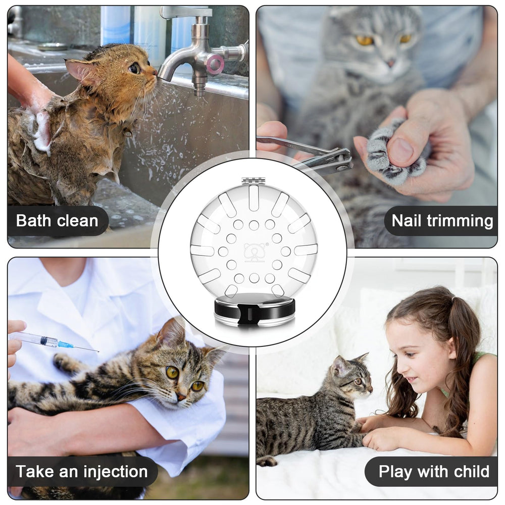 Kifmurase cat-grooming-use-cases highlights nail trimming, shaving, and baths.