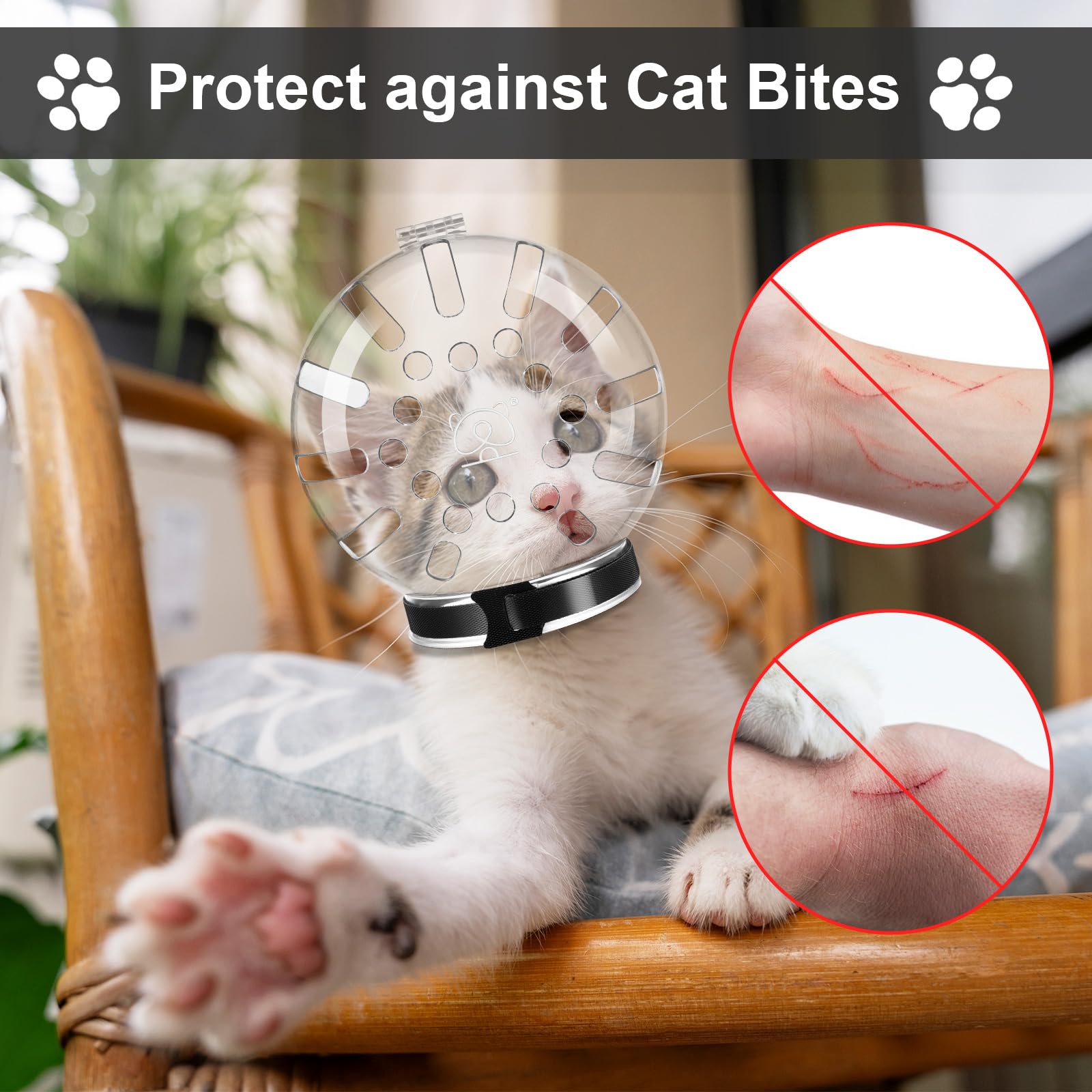 Kifmurase cat-material-pet-plastic-nylon ensures durable grooming sessions.