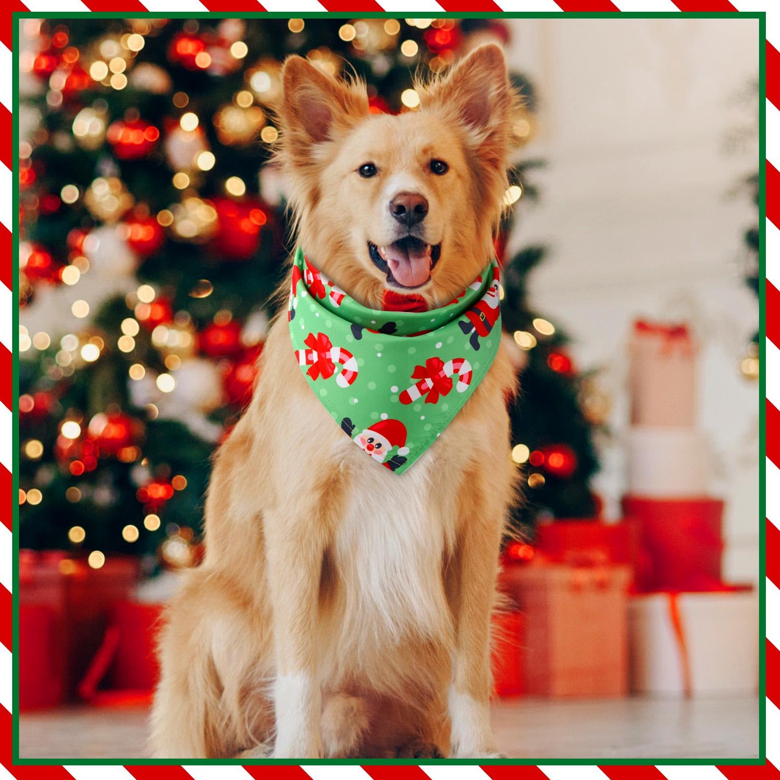 Kigeli Christmas dog bandana Bell pattern for merry moments.
