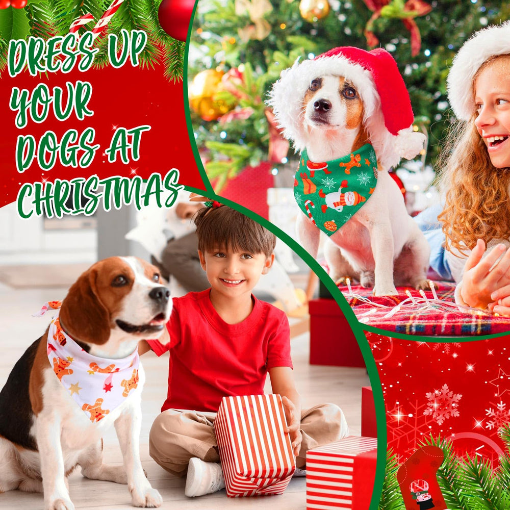 Kigeli Christmas dog bandana packaging display shows bulk value.