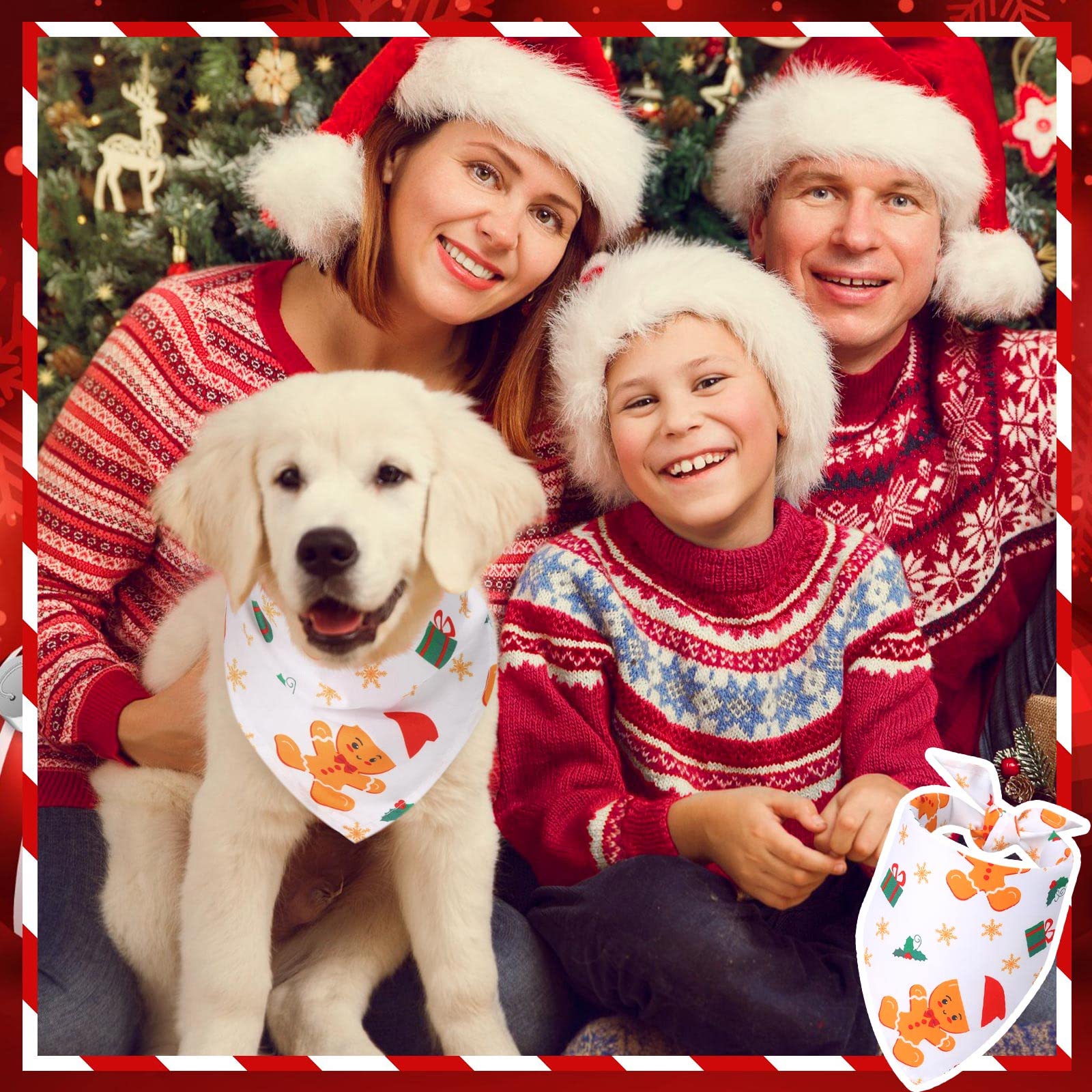 Kigeli Christmas dog bandana candy-cane pattern ideal for family gatherings.