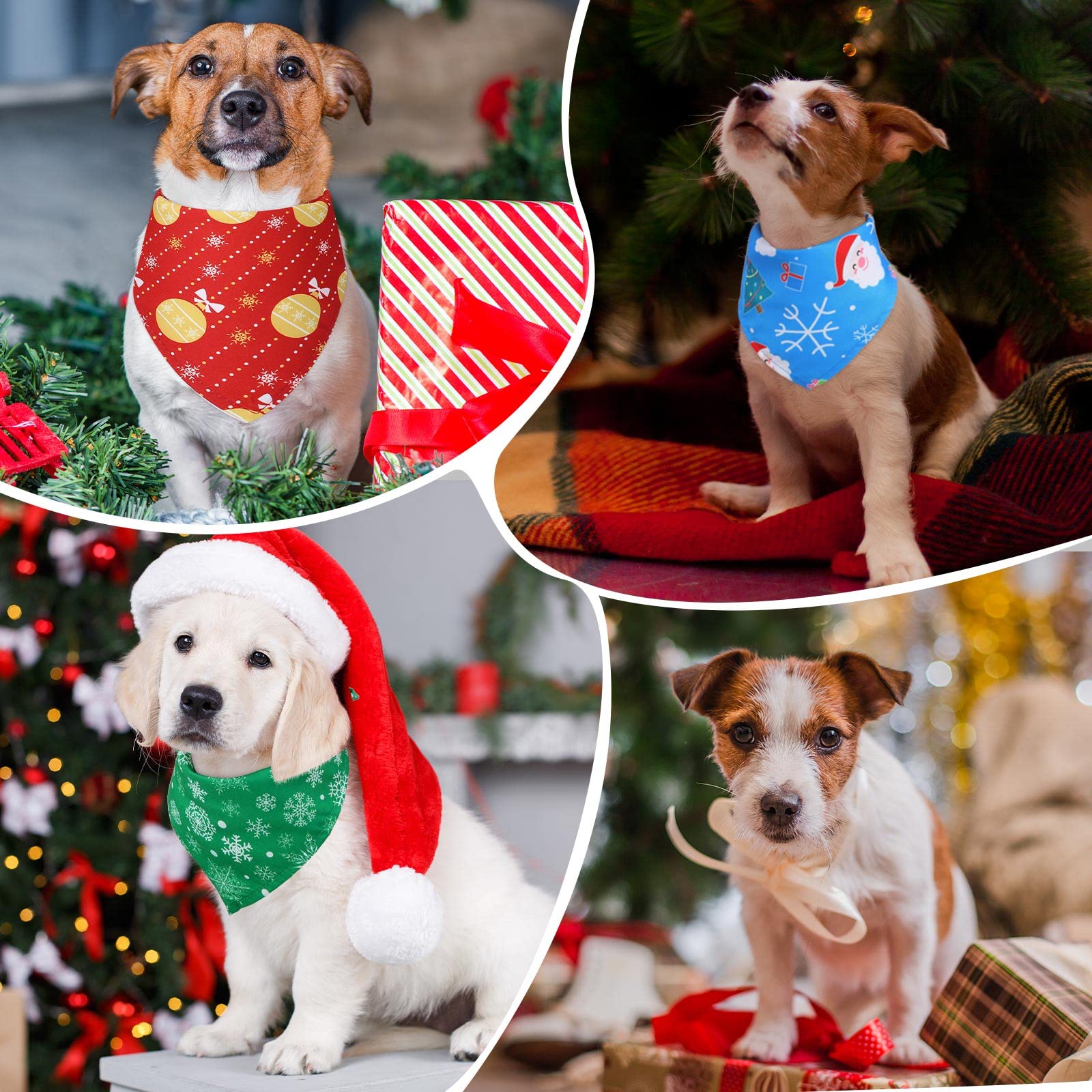 Kigeli dog bandana bell pattern ideal for family gatherings