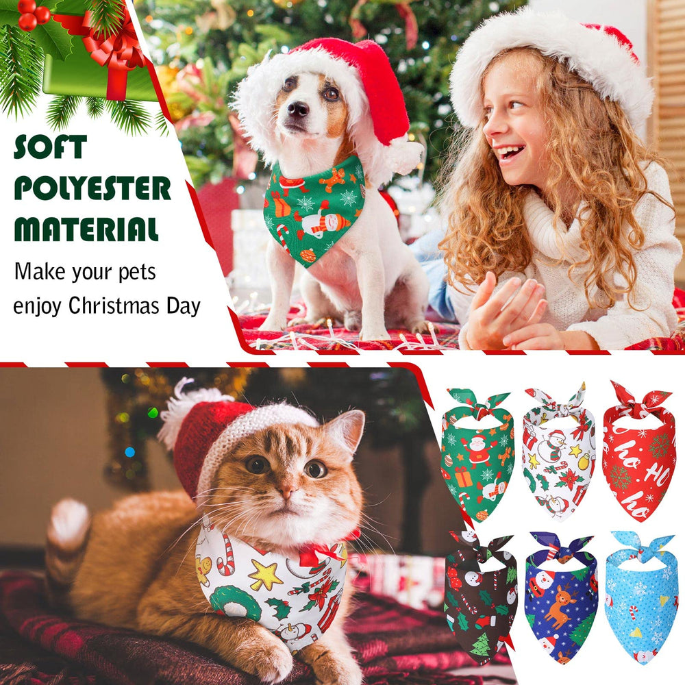 Kigeli dog bandana party setup image suitable for gifting