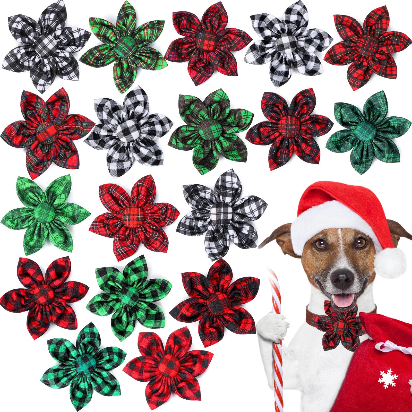 Kigeli plaid collar flower collection 01 adds festive charm to pets