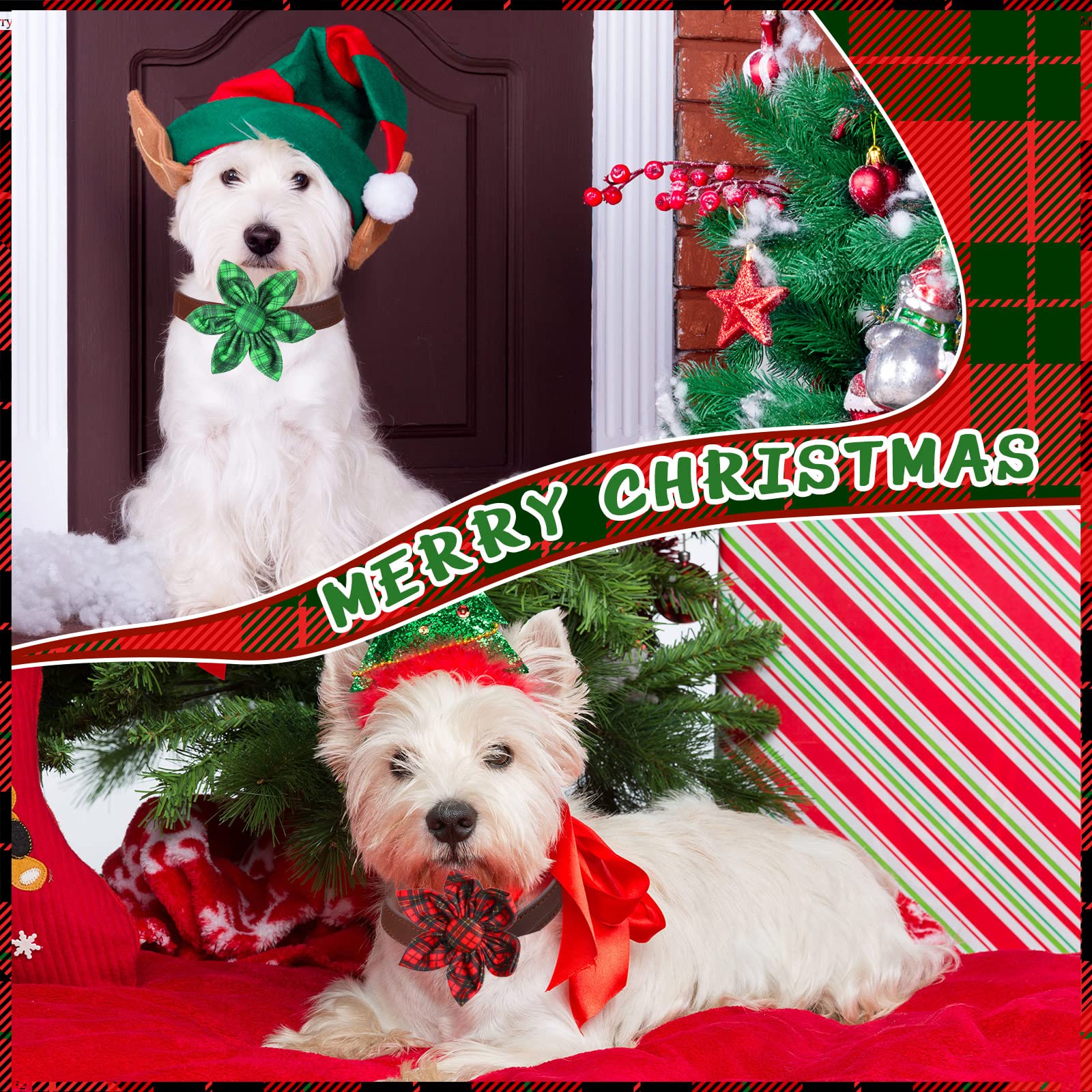 Kigeli plaid collar flower variety 06 reveals multiple color options for pets