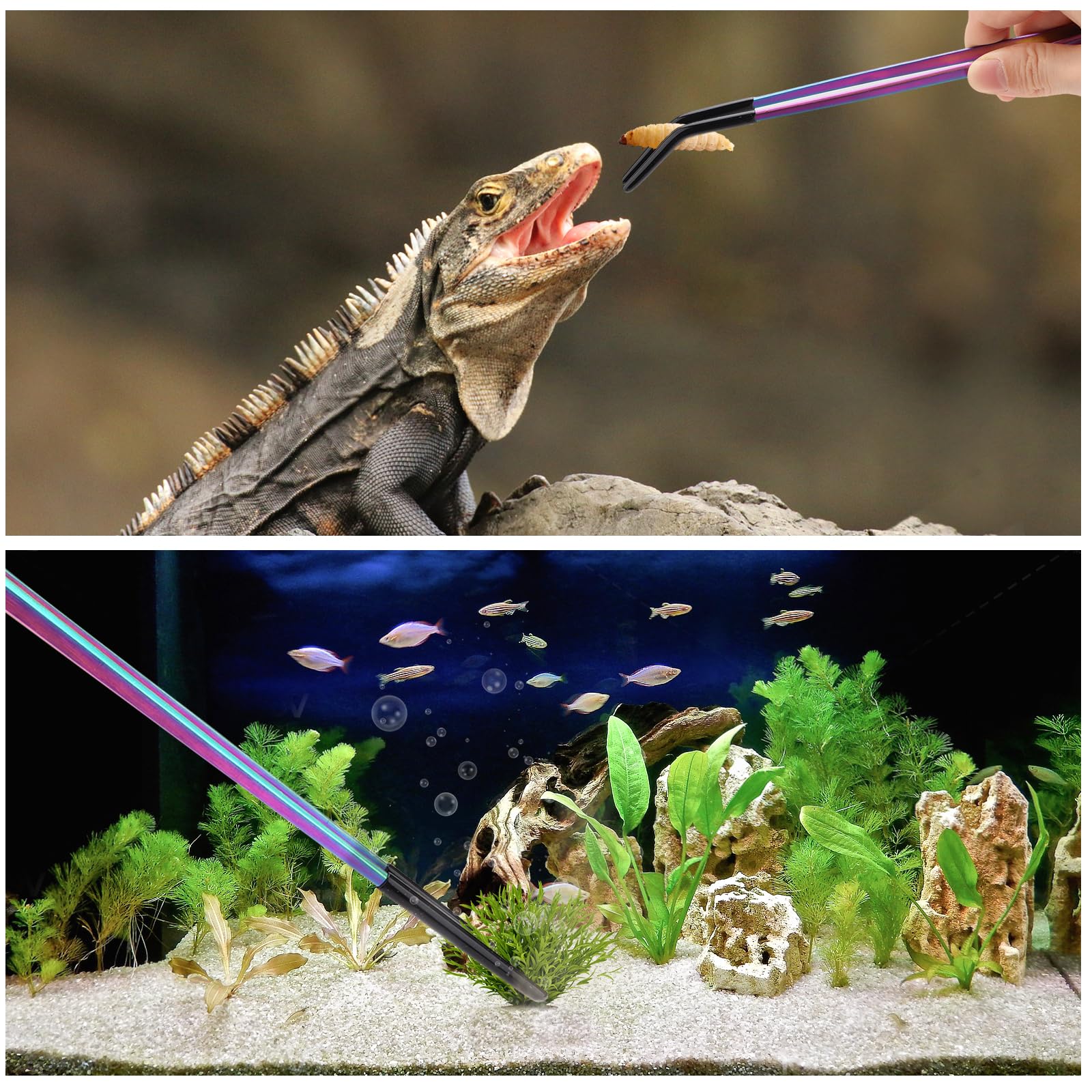 KIIDAS tank management with long tweezers for decor and plants.