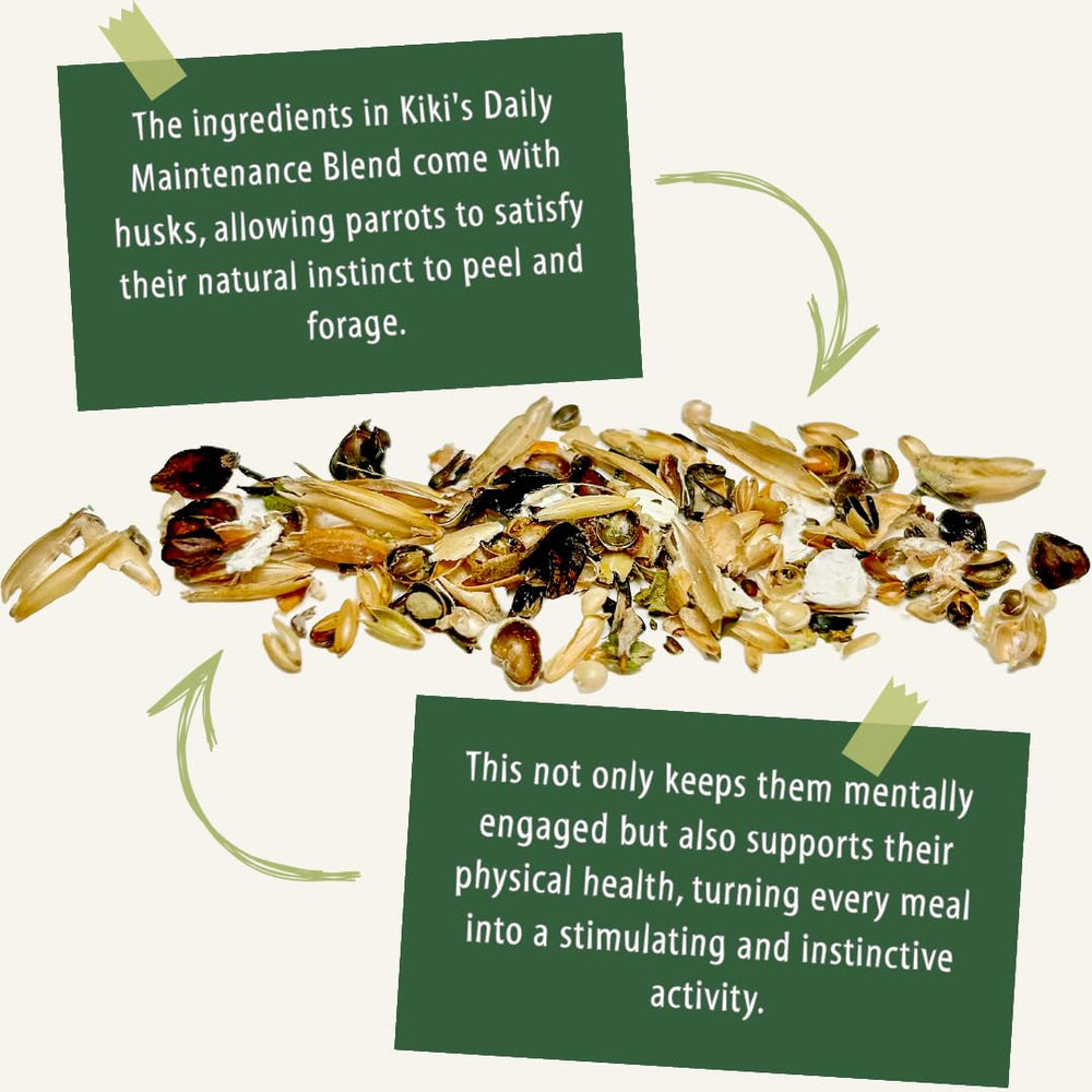 KikiBirds premium parrot food husked seeds image conveys natural foraging concepts and peeling