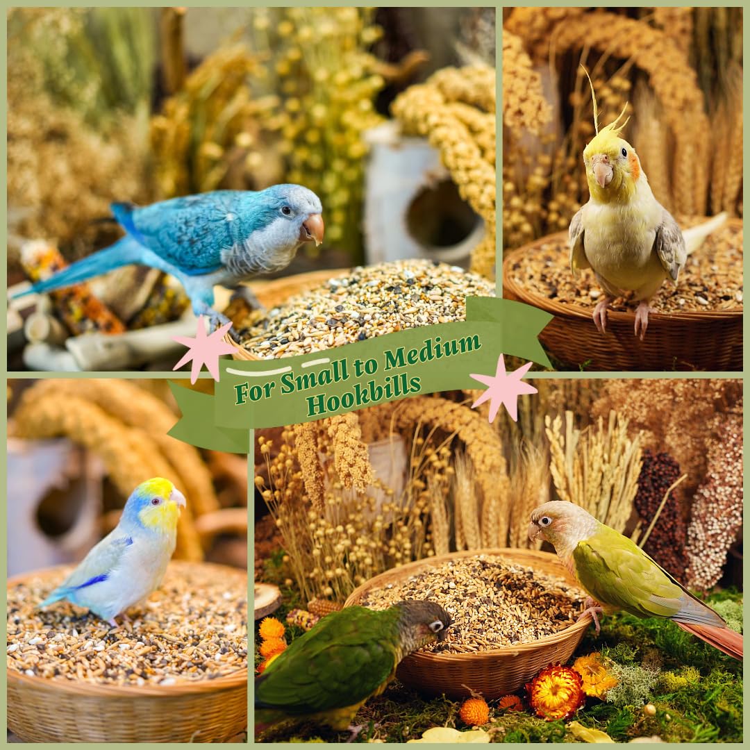 KikiBirds premium parrot food made-in-usa stamp communicates local craftsmanship and quality