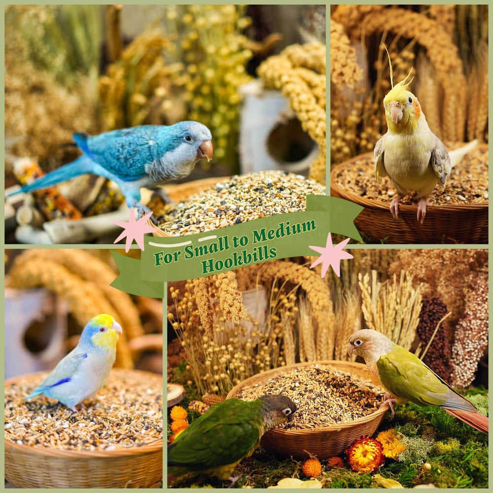 KikiBirds premium parrot food made-in-usa stamp communicates local craftsmanship and quality