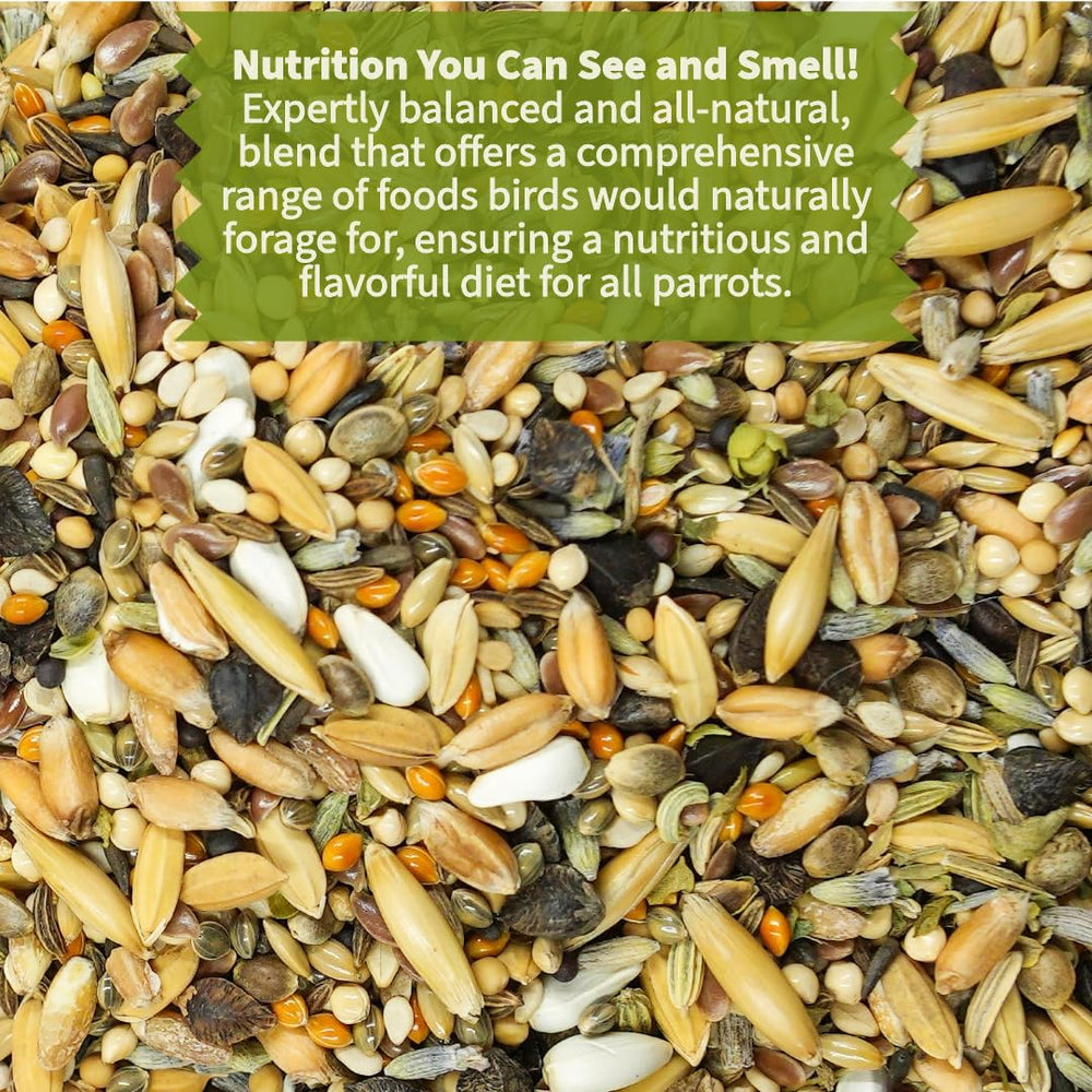 KikiBirds premium parrot food serving dish highlights foraging-friendly texture for mental stimulation