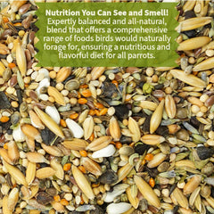 KikiBirds premium parrot food serving dish highlights foraging-friendly texture for mental stimulation