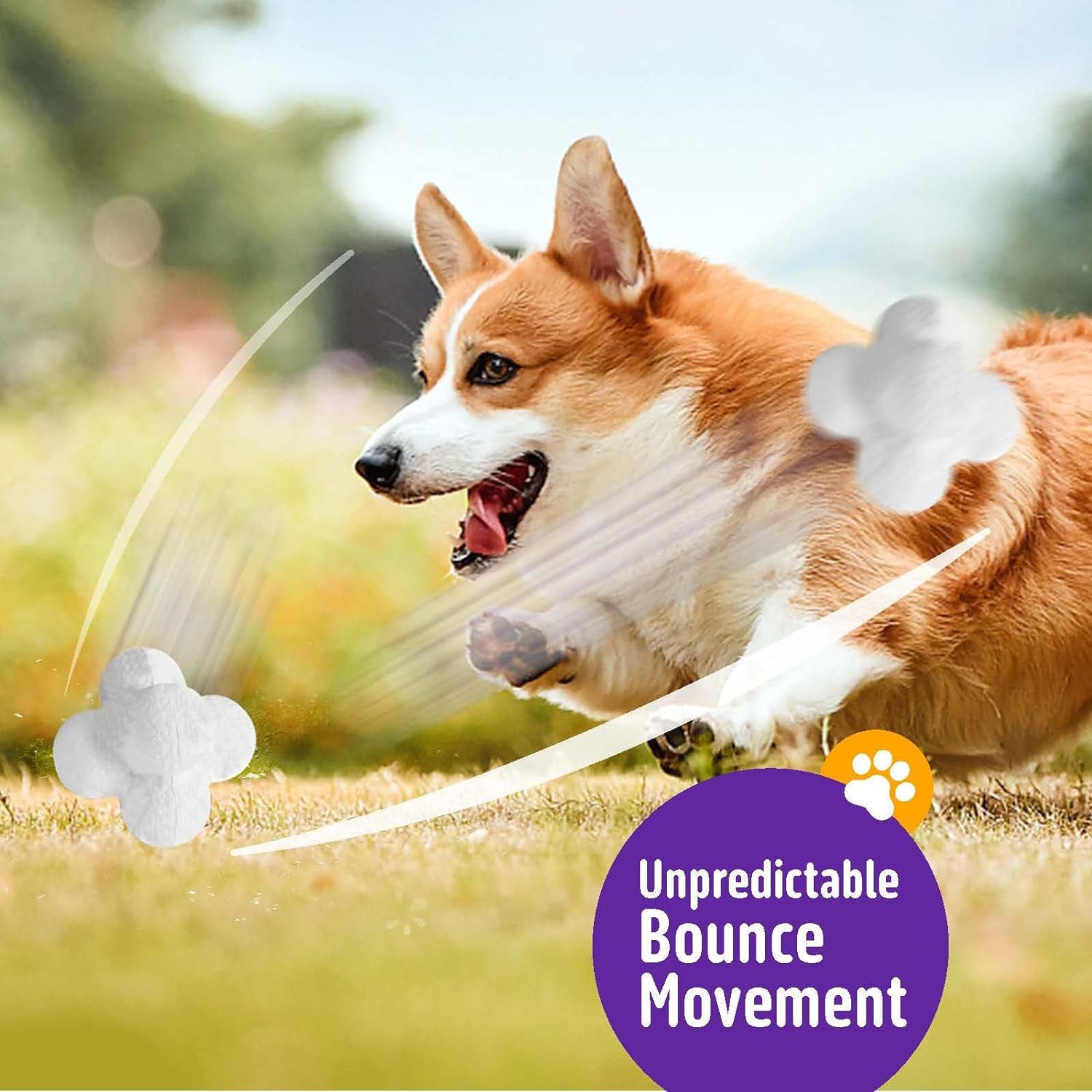 Kimee dog balls fit standard ball launchers for fetch training