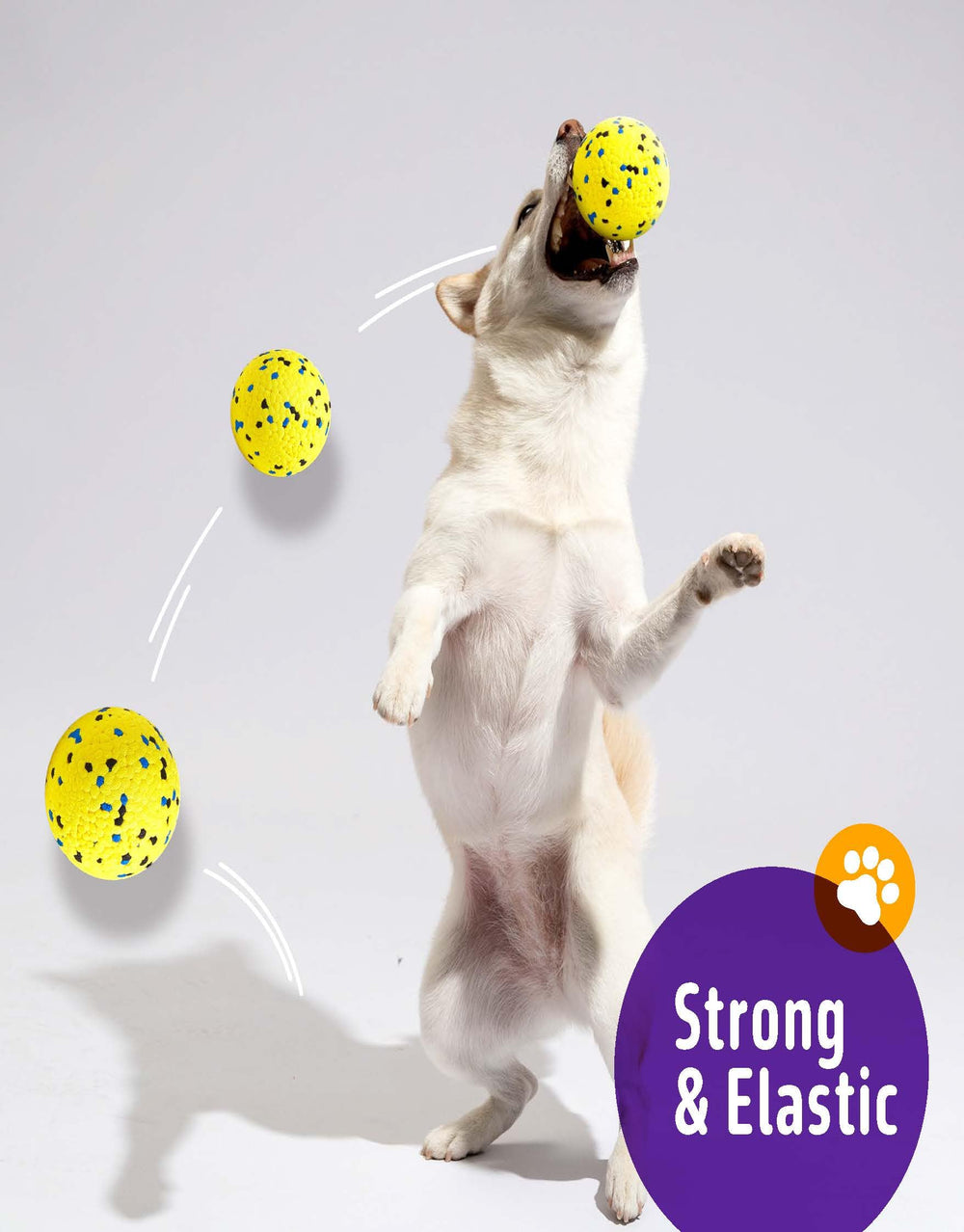 Kimee dog ball in action during fetch shows durable play