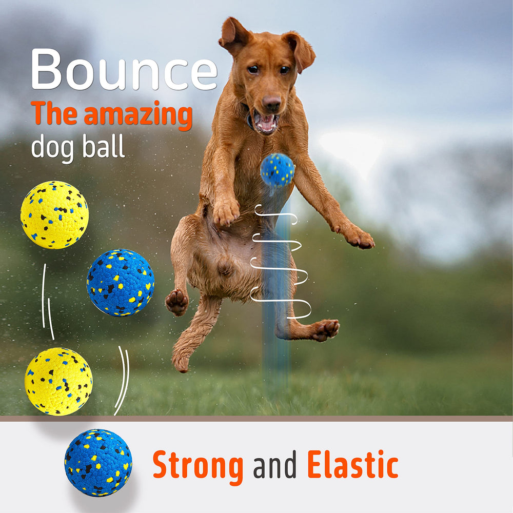 Kimee dog balls floating on water for pool or beach fun
