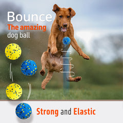 Kimee dog balls floating on water for pool or beach fun