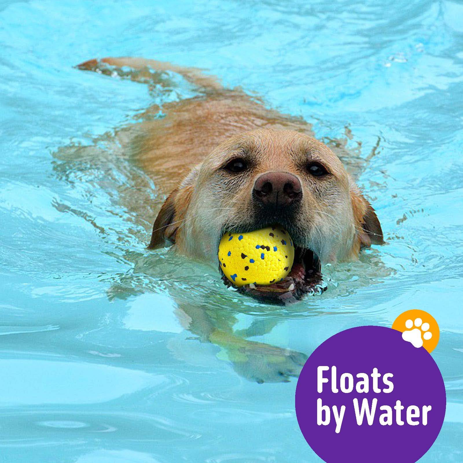 Kimee ball floating at water edge highlights poolside use