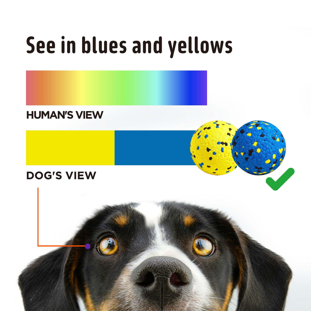 Kimee two-color design aids quick recognition and engagement by dogs