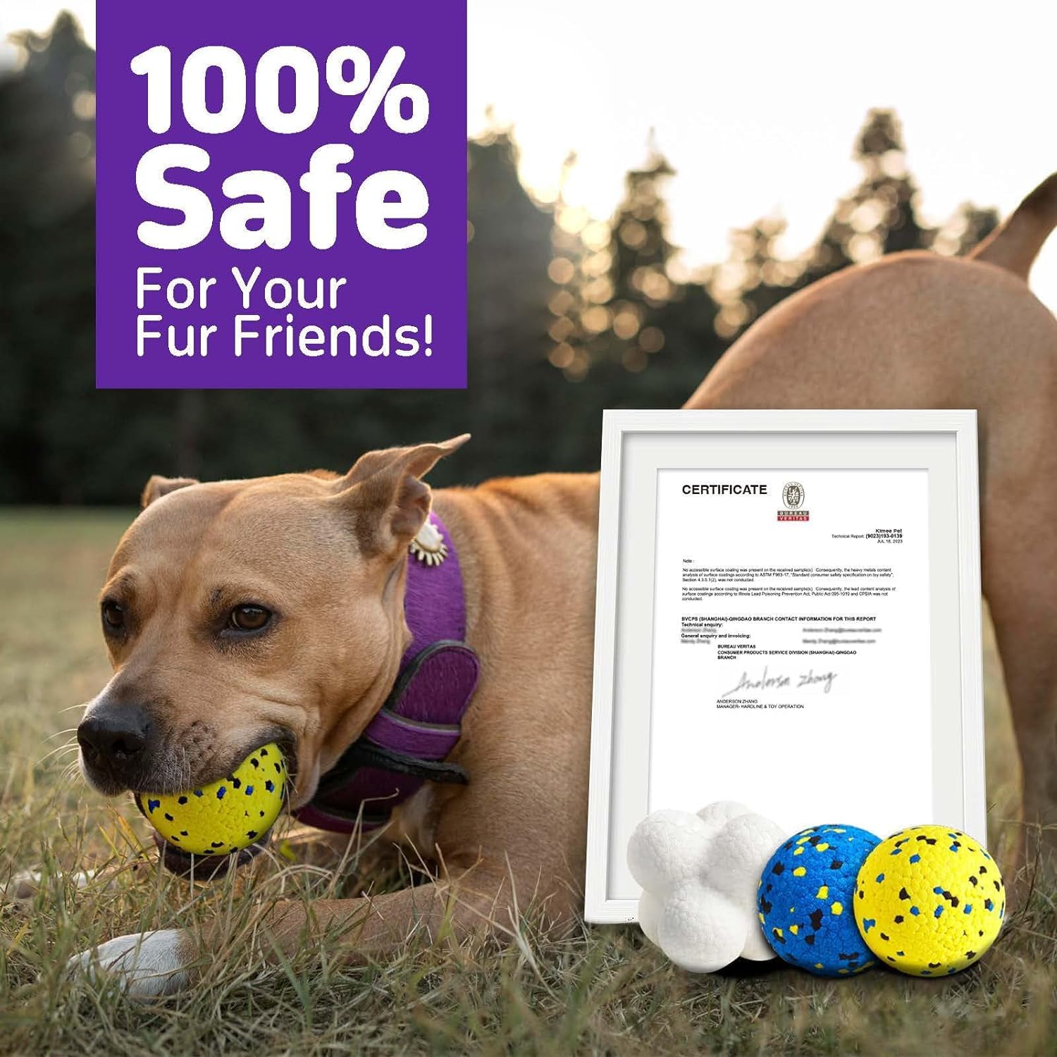 Kimee dog balls warranty card highlights 60-day guarantee