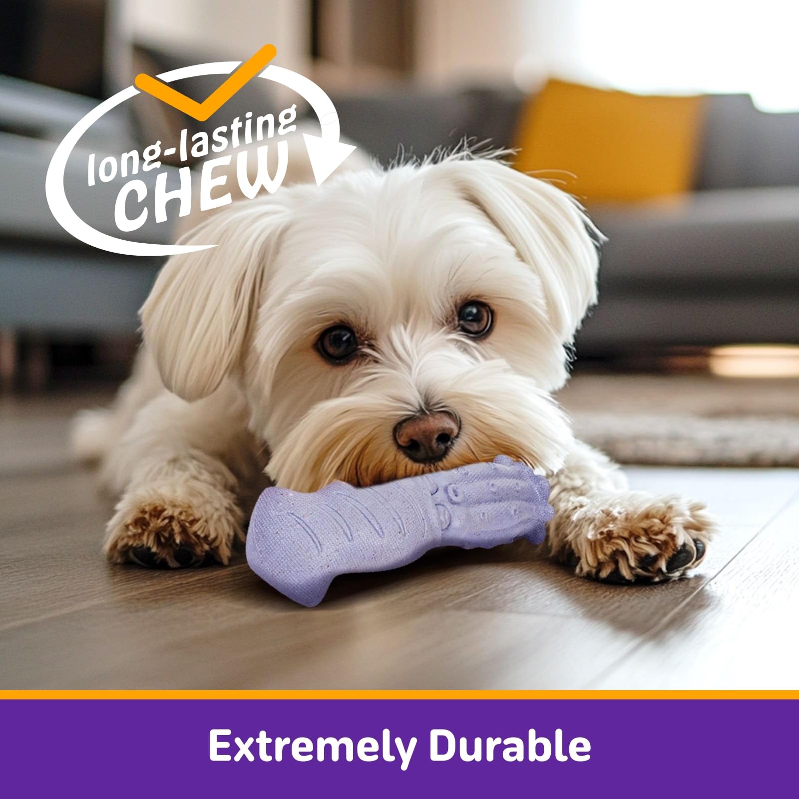 Kimee dog toys festival gift pack neatly packaged for dog lovers.