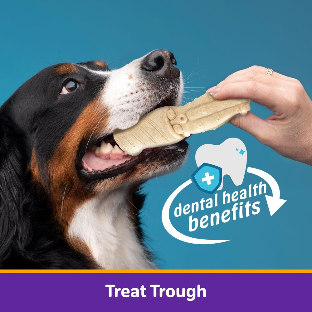 Kimee festival gift toy, durable chew for dog lovers.