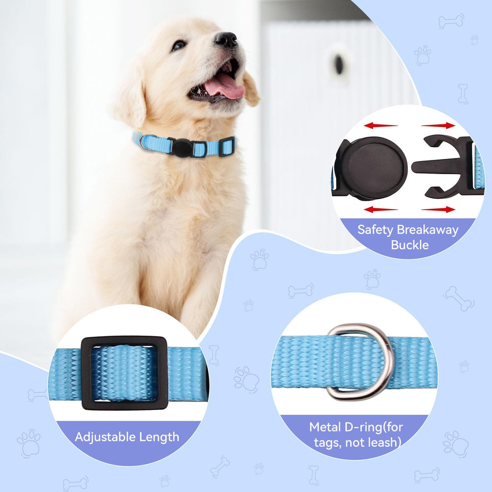 Kimgep safety-release buckle on puppy collar reduces choking risk.