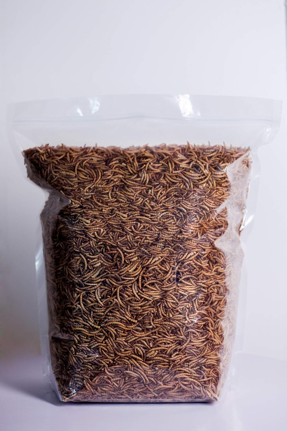 Kimoe mealworms stored in a cool, dry place preserve freshness.