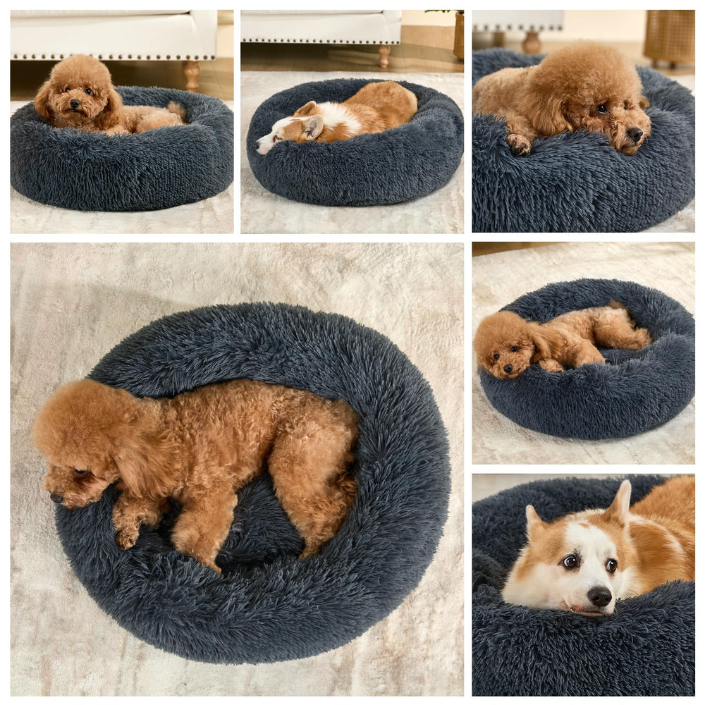 Kimpets anti-slip-bottom dog bed demonstrating a stable surface during lounging.
