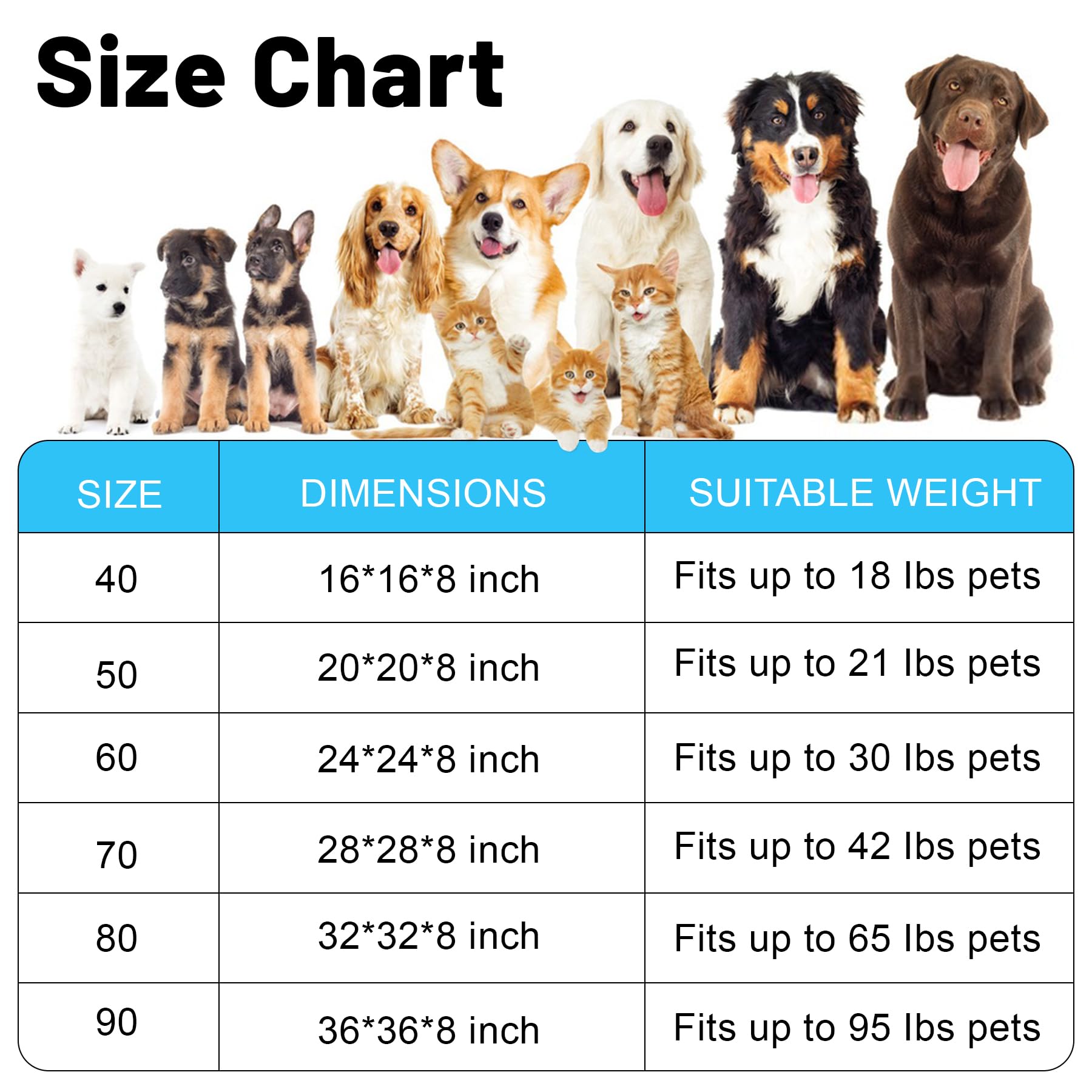 Kimpets brand promise image signaling responsive customer support