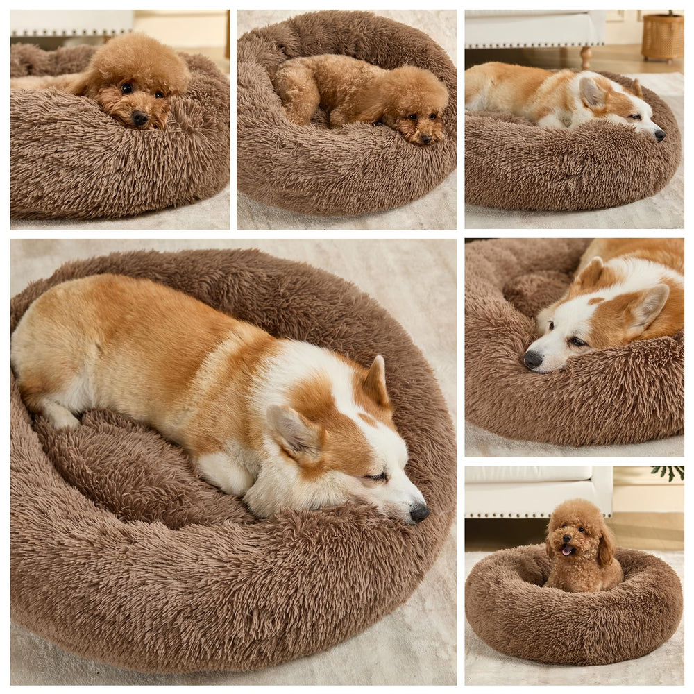 Kimpets dog bed outer rim close-up highlights secure curling and snuggle-ready comfort.