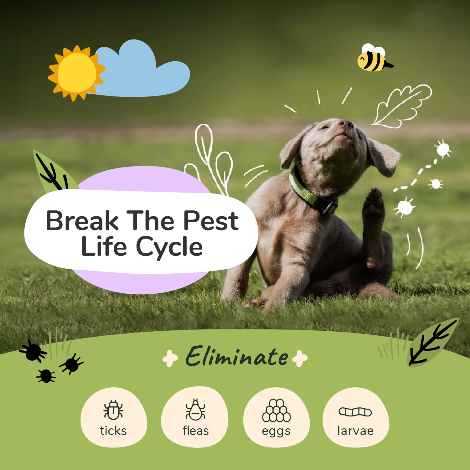Kin-kind dog shampoo lather forms a rich foam for easy cleansing.