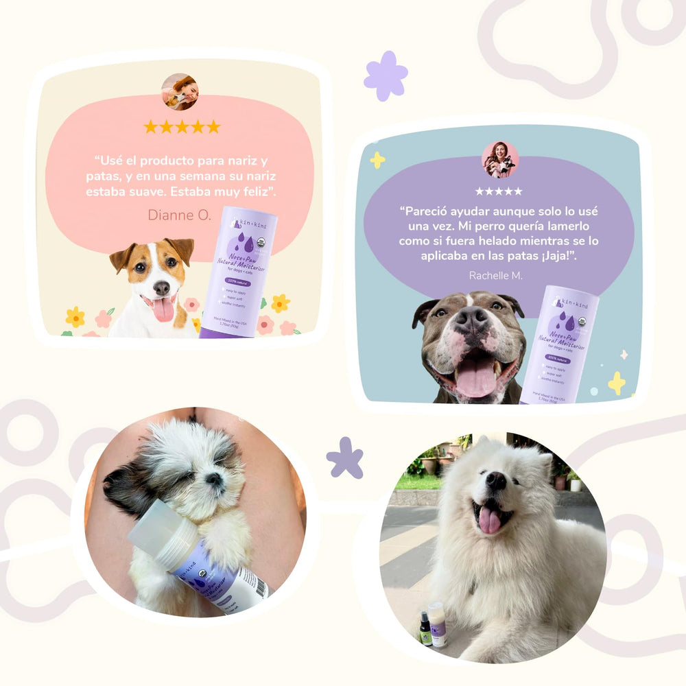 kin+kind easy-roll-on application shown on a pet's nose.