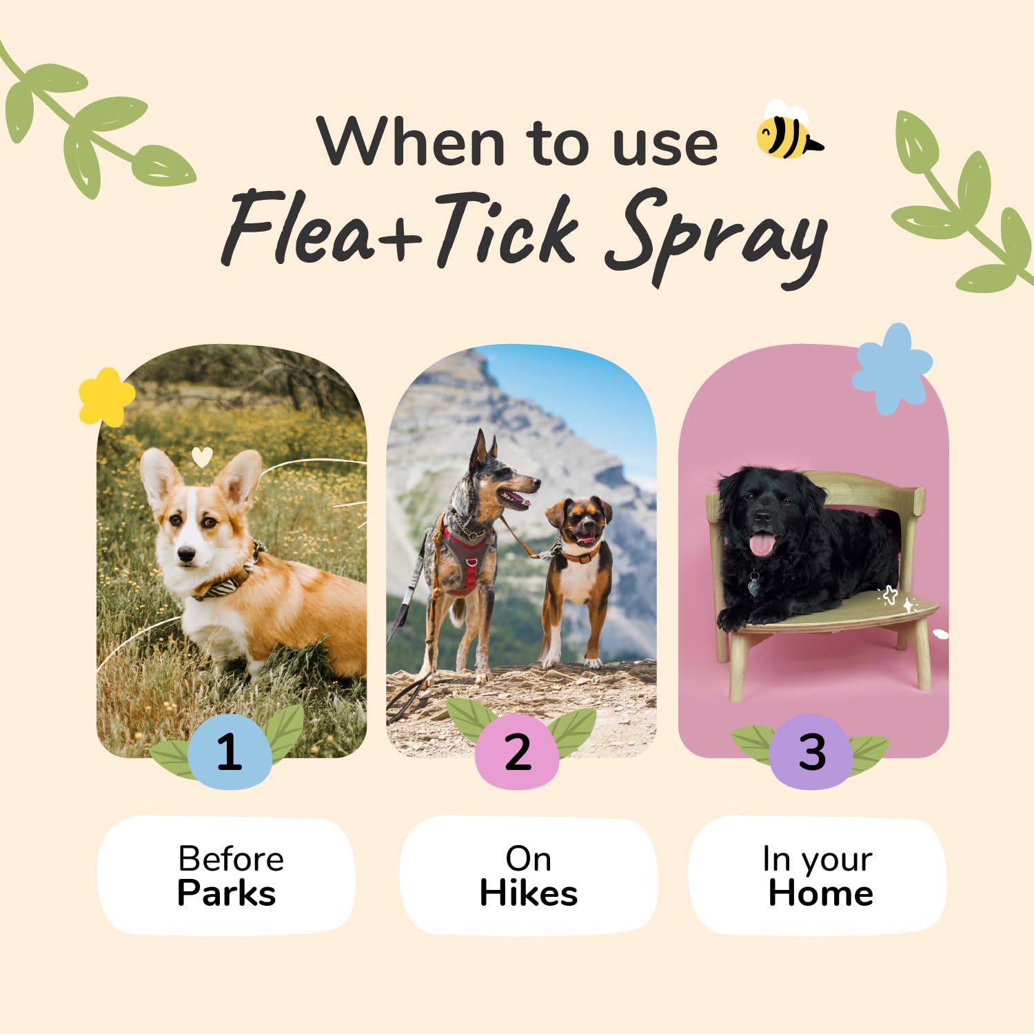 kin+kind spray applied outdoors to help ward off fleas on pets
