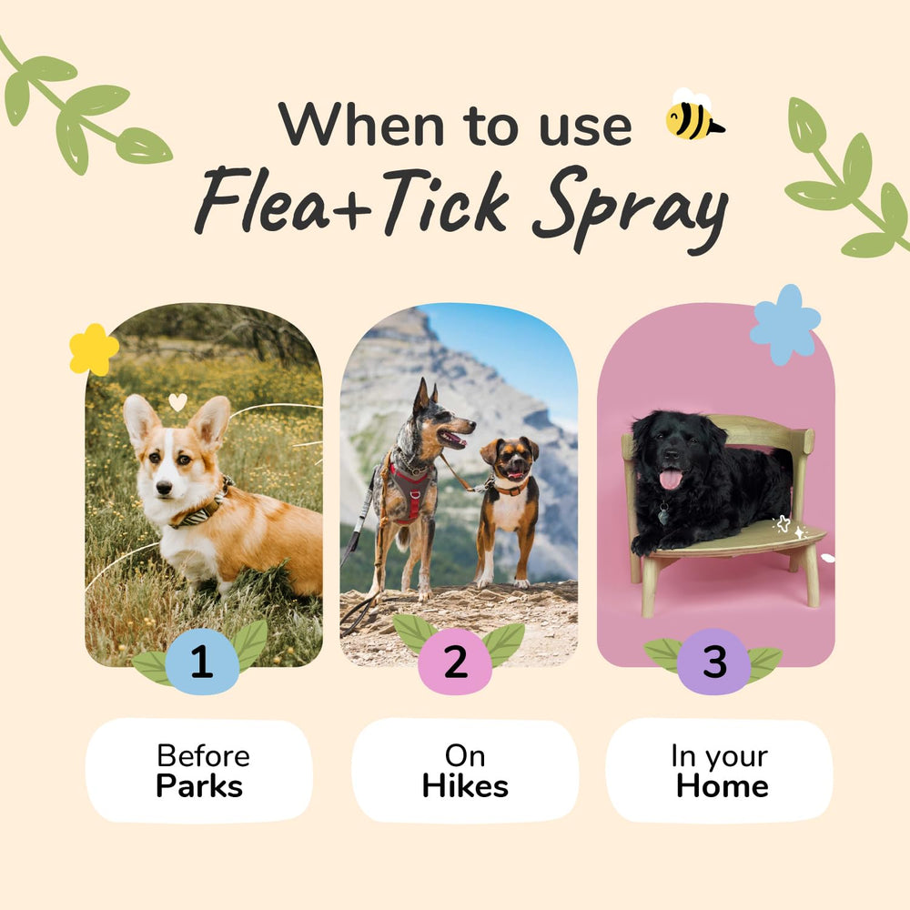 kin+kind spray applied outdoors to help ward off fleas on pets