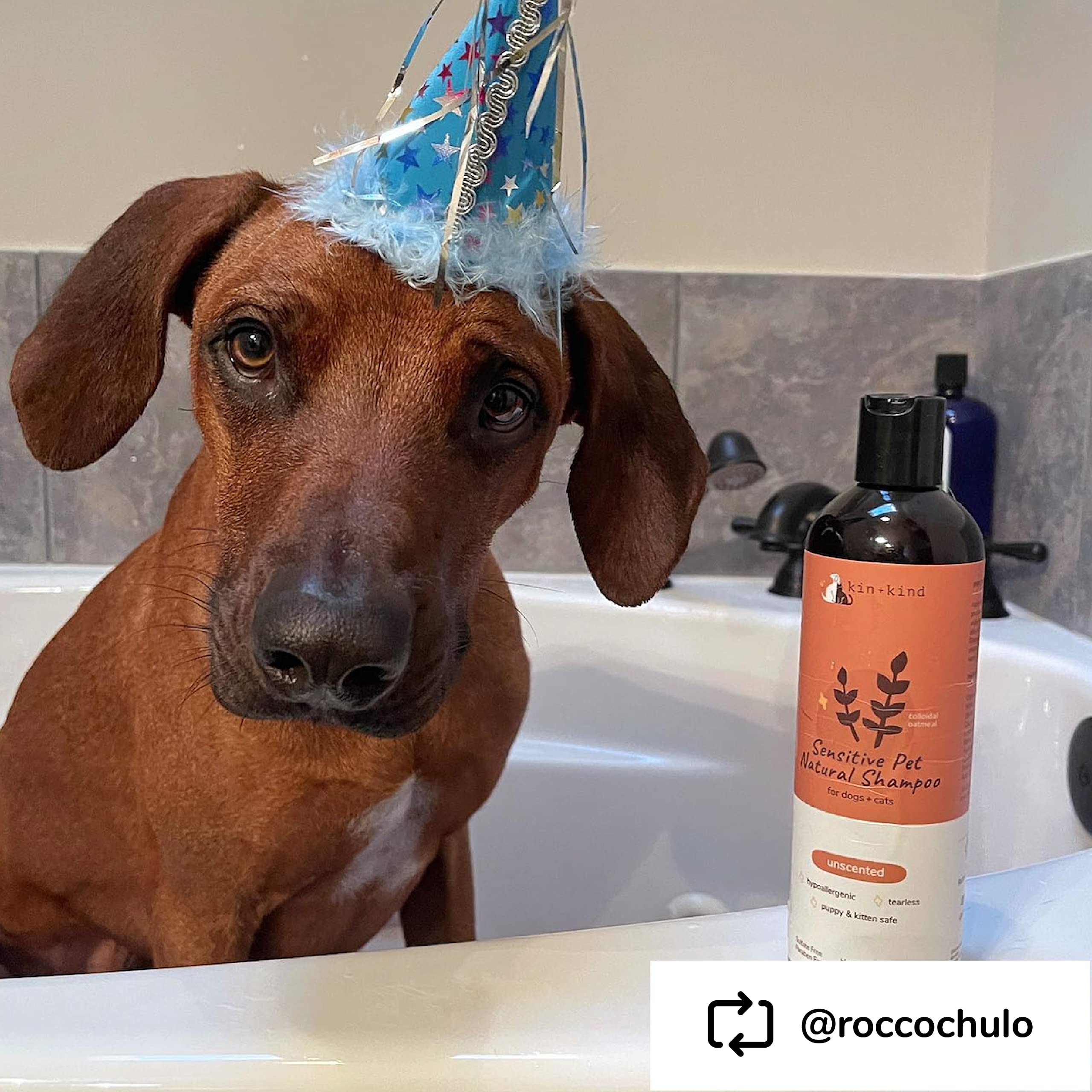 kin+kind cruelty-free image reinforces Leaping Bunny certification and ethical pet care