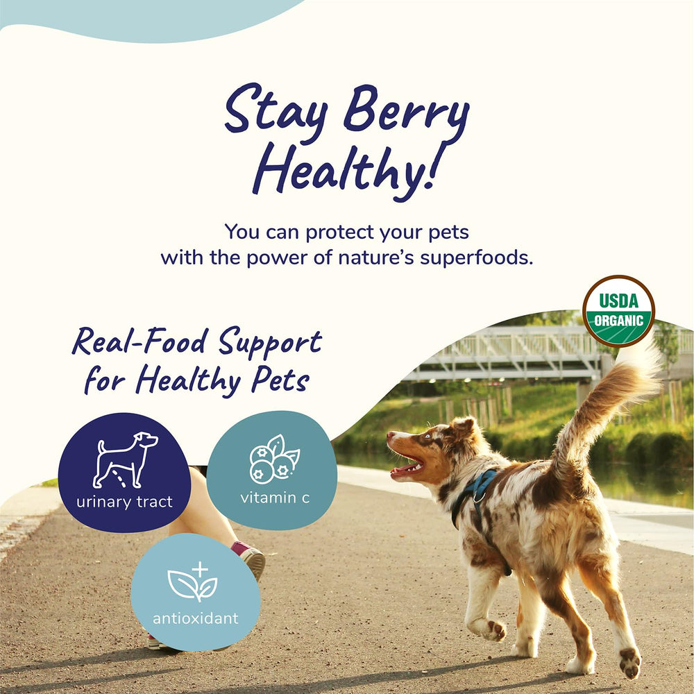 kin+kind organic cranberry powder highlighting urinary tract wellness benefits