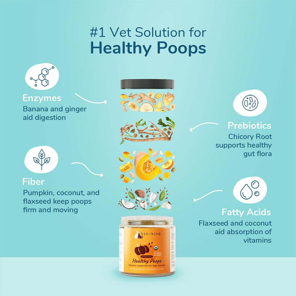 Kin-kind Organic Pumpkin Powder dog bowl highlights natural ingredients for gentle digestion.
