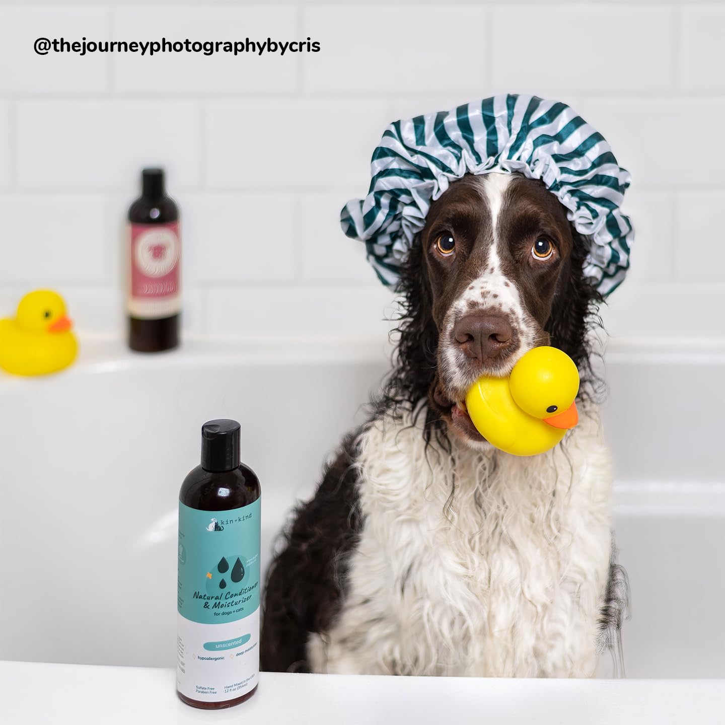 Kin-kind pet grooming routine setup showing rinsing and shine after use.