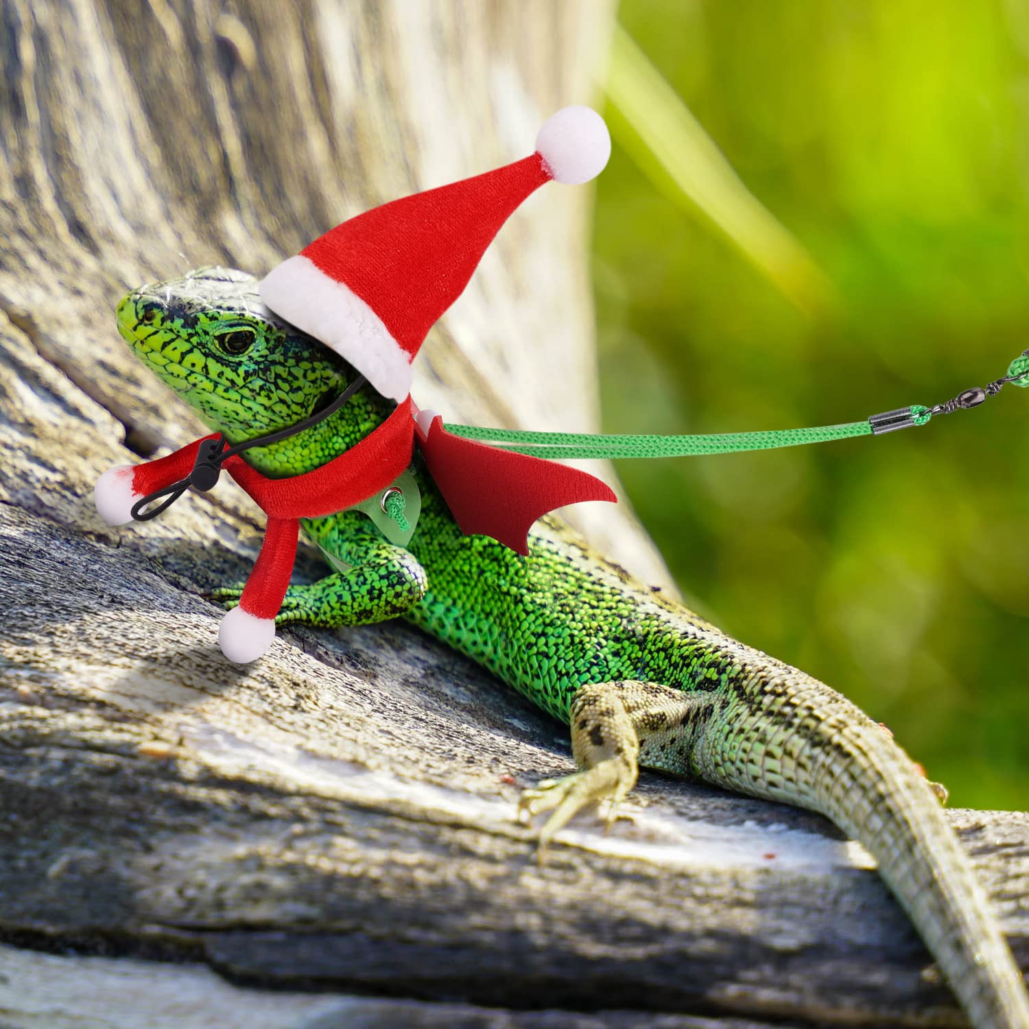 KINBOM Lizard Christmas Outfit with Harness offers simple fitting