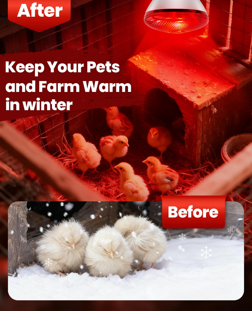 KINDEEP 250W lamp used with pets shows comforting red glow for nighttime rest