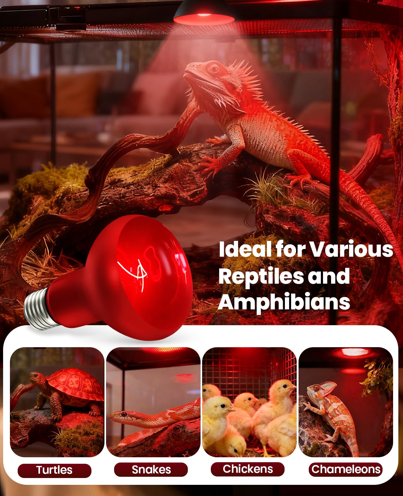 KINDEEP infrared heat lamp 75W pack durable lamp life for long-term use