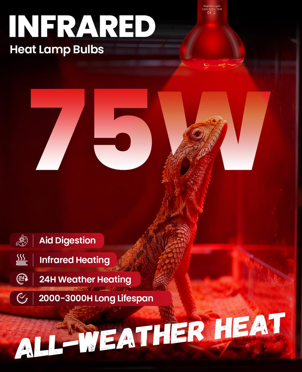 KINDEEP infrared heat lamp 75W pack side view highlights compact reptile heating solution